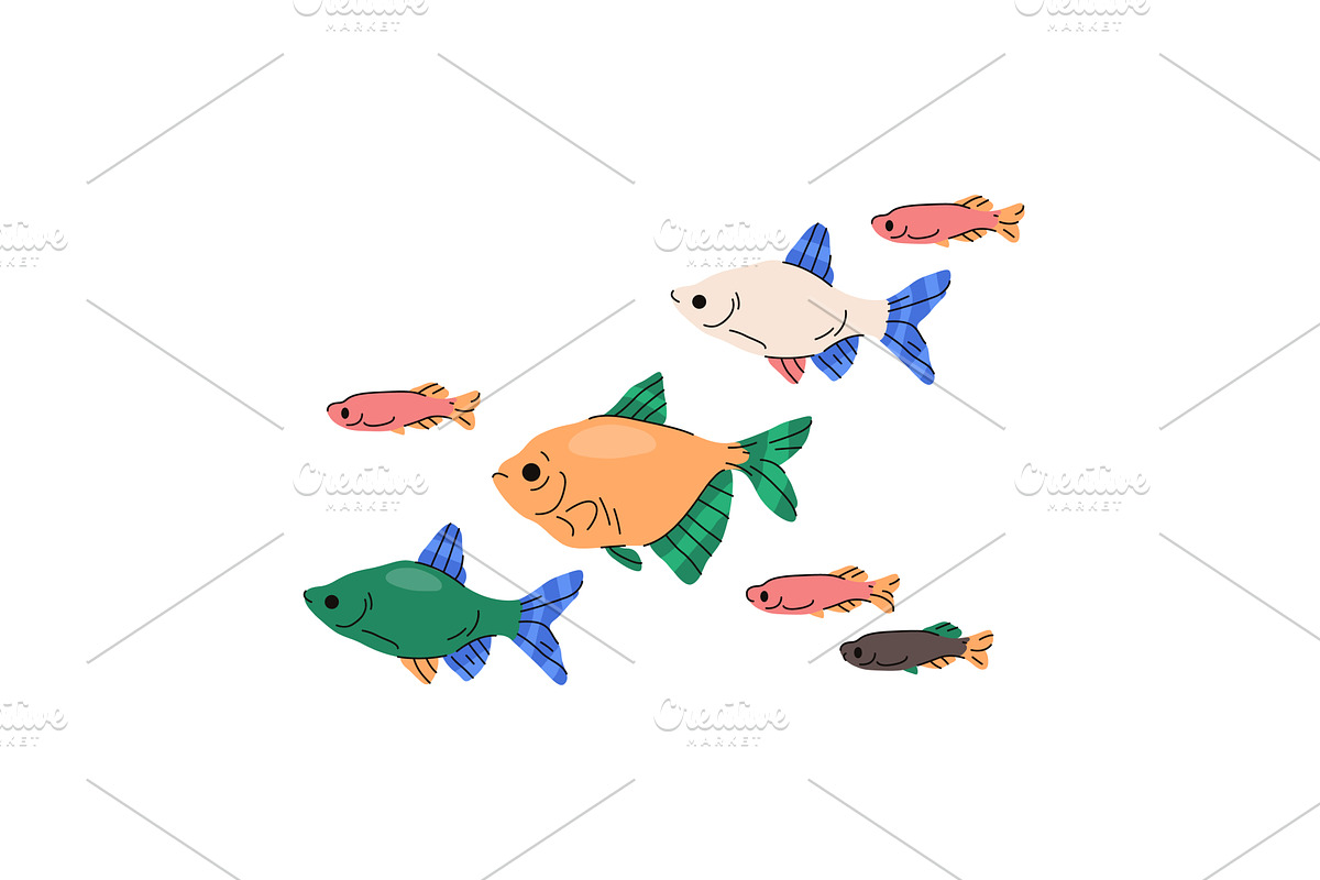Shoal of fish or group of underwater, an Animal Illustration by Elegant Solution