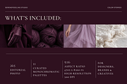 Color Palette Stock Photo Bundle, a Beauty & Fashion Photo by Serenefeeling (Thumbnail 2 of 21)
