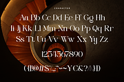 Fantastico - Modern Decorative, a Serif Font by Sohel Studio (Thumbnail 9 of 10)