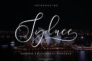 Sydnee Modern Calligraphy Font, a Script Font by AQR Studio (Thumbnail 11 of 11)