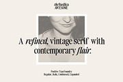 The Basilica Awesome Serif (9 Font), a Serif Font by Positive TypeFoundry (Thumbnail 10 of 15)
