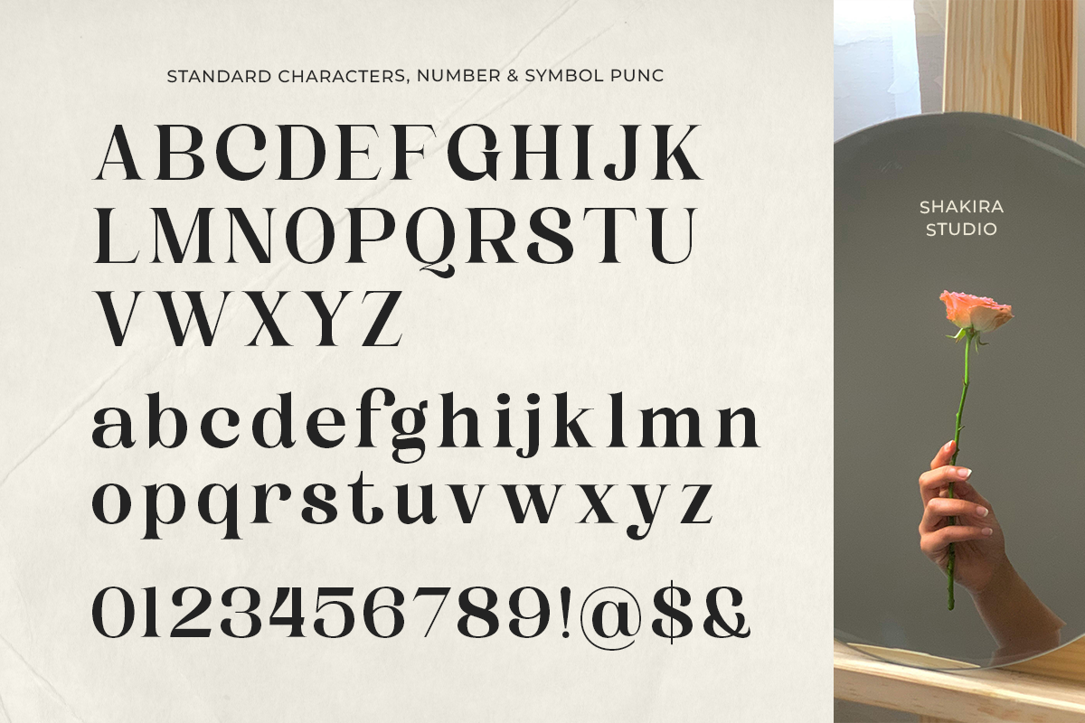 Reality Breathe - Modern Serif, a Serif Font by Shakira Studio (Photo 9 of 10)