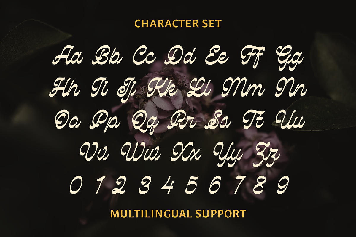Royalter Script, a Script Font by Abbasy Studio (Photo 3 of 10)