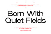 GC Quark - A Modern Sans Serif, a Sans Serif Font by Glyphonic (Thumbnail 9 of 15)