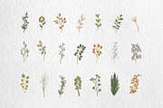 Flowers, an Illustration by AMMi (Thumbnail 5 of 5)