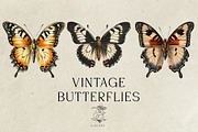 Vintage Butterflies, an Animal Illustration by Karliefie (Thumbnail 1 of 5)