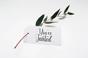Forefarmers - Rustic Casual Vintage, a Script Font by Ian Irwanwismoyo (Thumbnail 5 of 8)