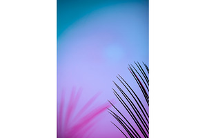 Tropical leaves in neon light with, an Arts & Entertainment Photo by Yulia Furman