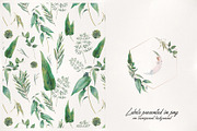 LUNAR Herbarium, an Illustration by Eisfrei (Thumbnail 10 of 10)