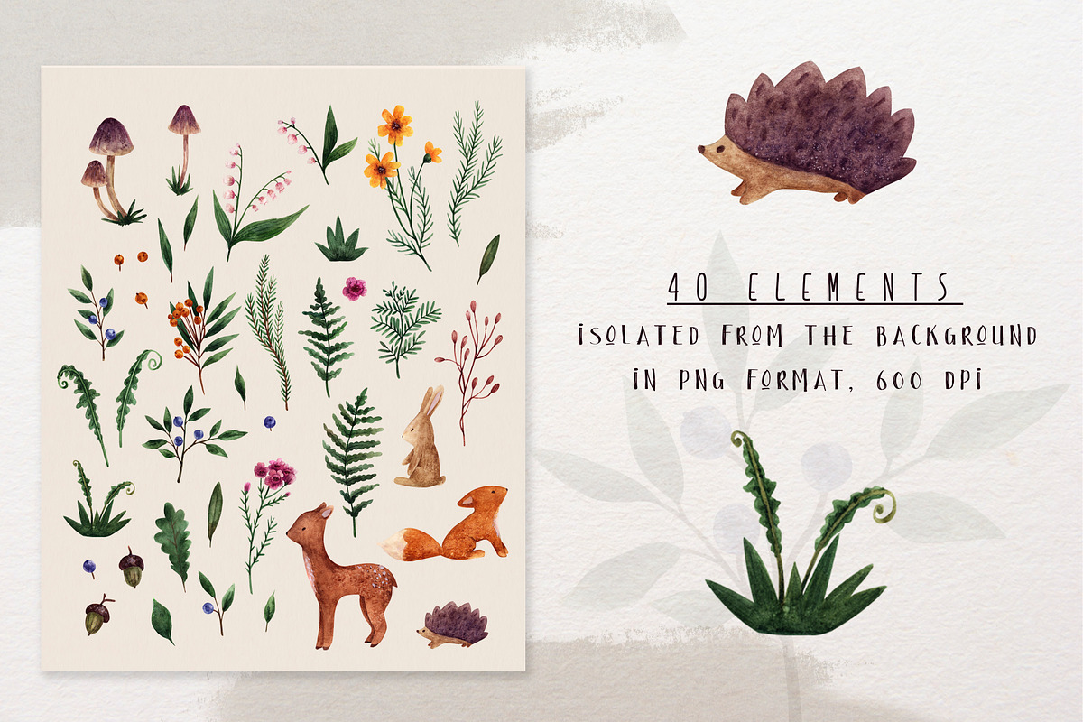 Forest animals and botany, an Animal Illustration by a_ptichkina (Photo 2 of 6)