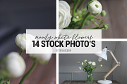 Stock photos, Moody white flower, a Print Template by Angele Kamp (Thumbnail 1 of 6)