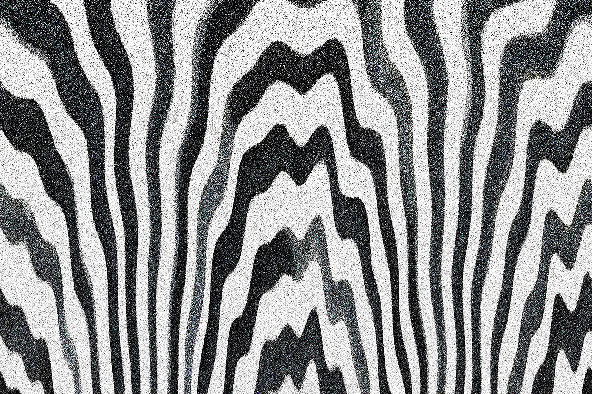 Wild Stripes, a Texture Graphic by Jennifer Lauren Creative (Photo 7 of 16)