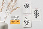 Autumn Leaves & Flowers. Fall Bundle, an Object Graphic by Yevheniia (Thumbnail 2 of 11)