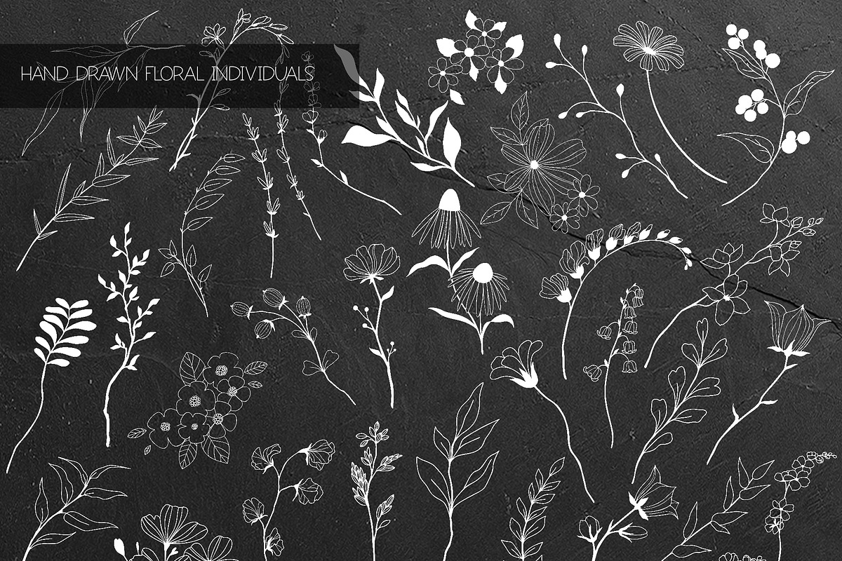 Hand Painted Floral Collection, an Animal Illustration by JSolomatina (Photo 17 of 26)