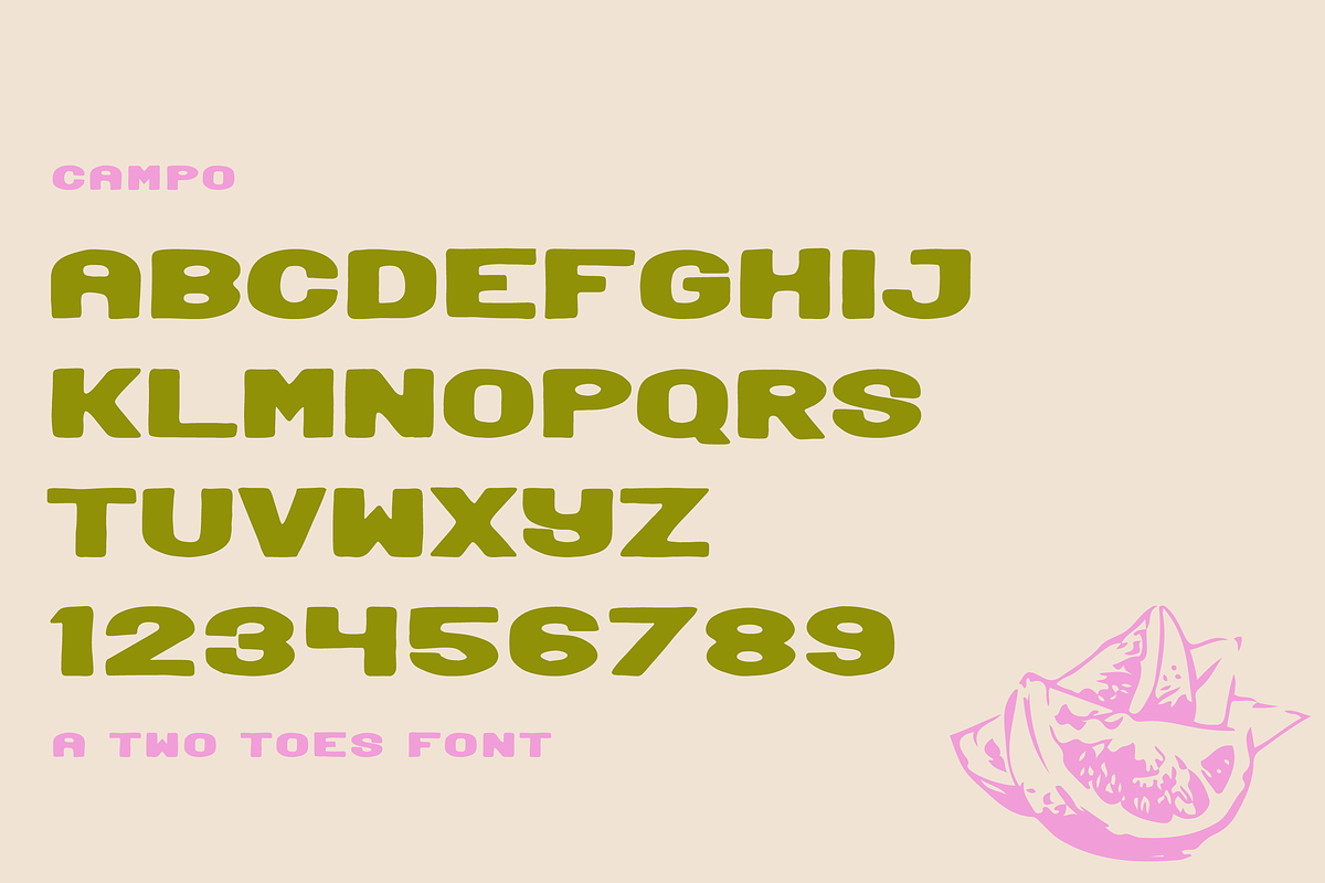 Campo, a Sans Serif Font by Two Toes Creative (Photo 2 of 6)