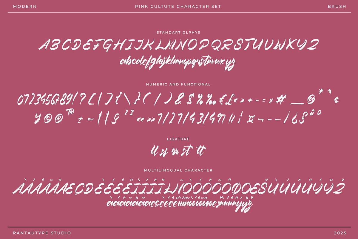 Pink Culture Modern Brush Font, a Script Font by RantautypeStudio (Photo 11 of 13)