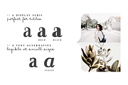 Farewell Angelina font family, a Serif Font by Ana's Fonts (Thumbnail 8 of 11)