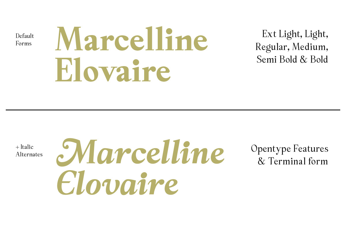 Panasea | 12 Fonts, a Serif Font by Skinny Type (Photo 11 of 15)