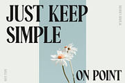 Broden Display - Unique Modern Serif, a Serif Font by Myn Type (Thumbnail 15 of 16)