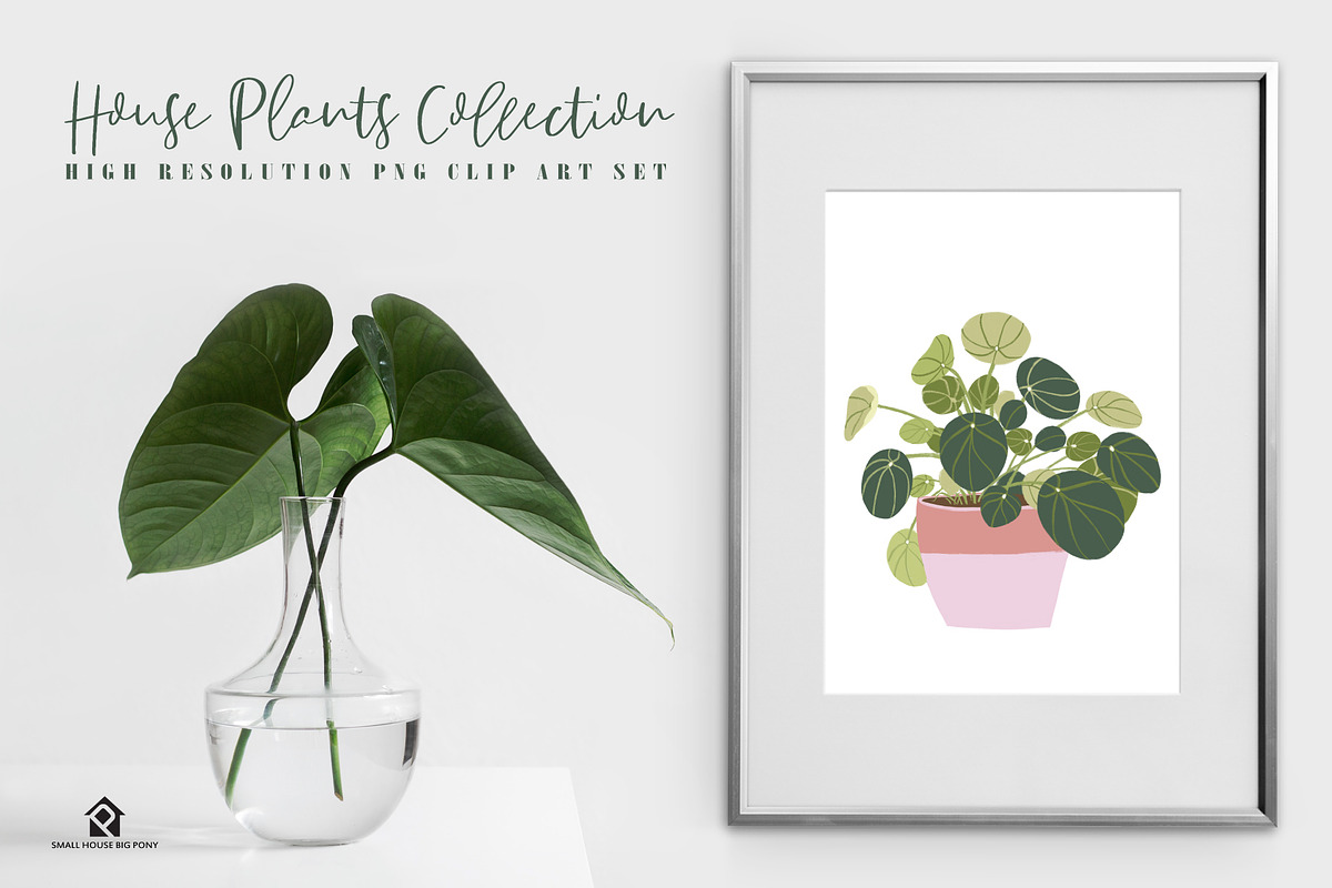 House Plants Collection, a Graphic by SmallHouseBigPony (Photo 2 of 18)