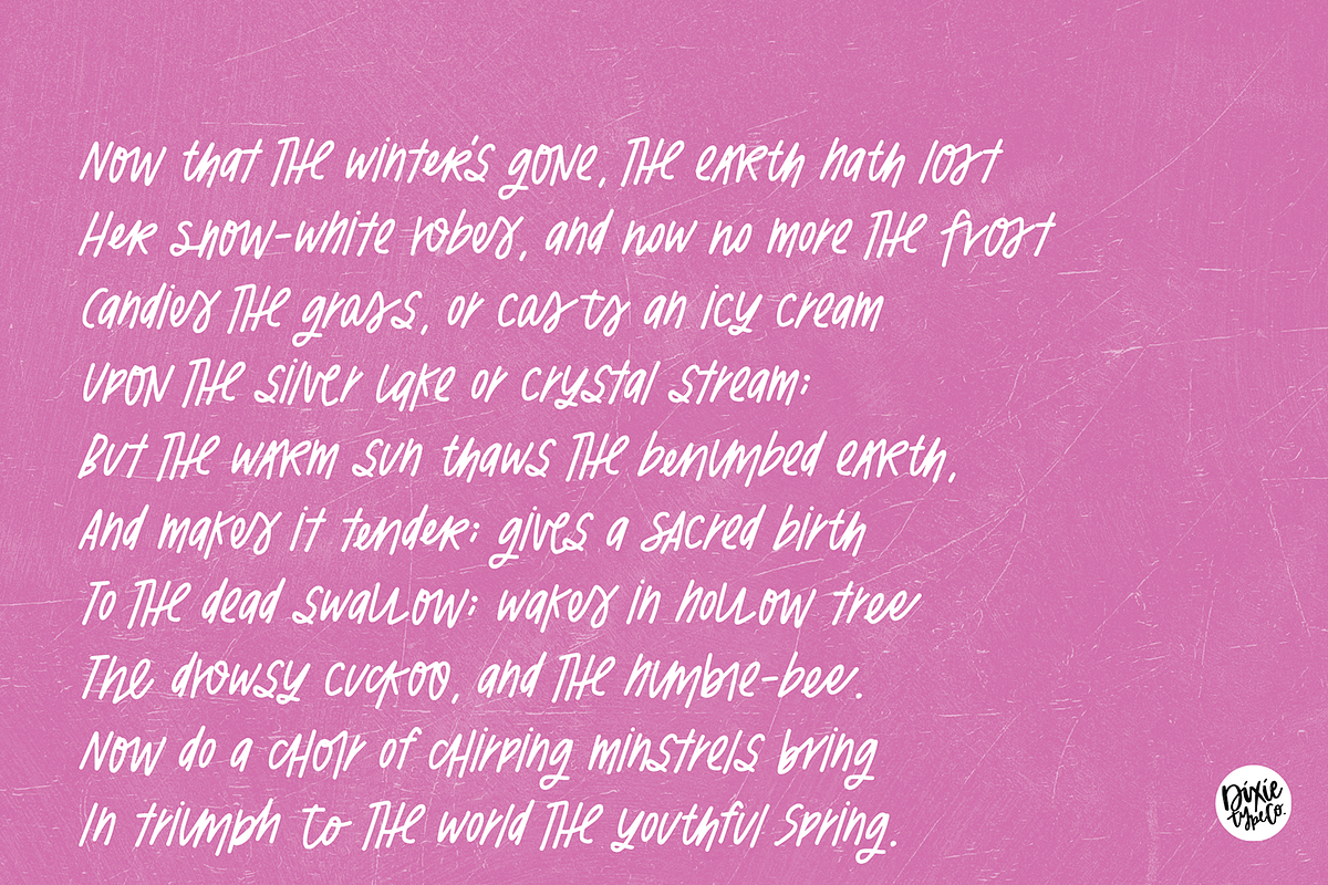 SOCIALLY SAVVY Font Bundle, a Sans Serif Font by Blush Font Co. (Photo 8 of 13)