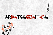 The Mukote – Japanese Brush Font, a Handwritten Font by Dm Studio (Thumbnail 10 of 10)