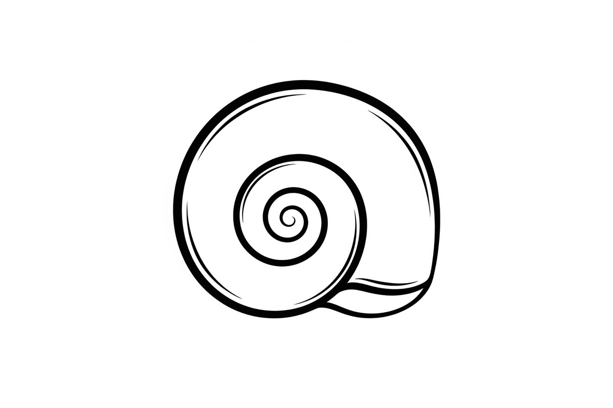 Spiral Seashell SVG Bundle, an Illustration by Gaye Art (Photo 21 of 31)
