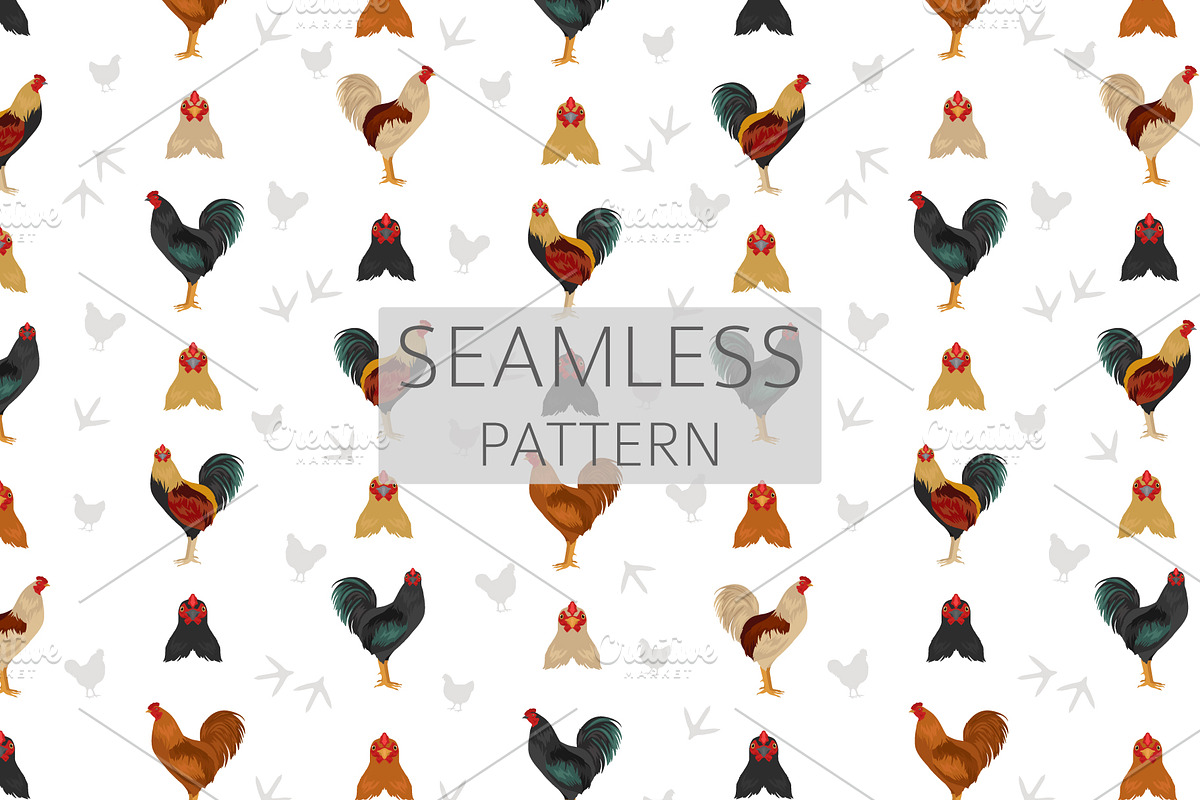 American Game Chicken breed clipart, an Animal Illustration by pet design shop (Photo 5 of 5)