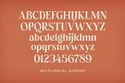 The Kelvine Stylish Serif, a Serif Font by Letterhend Studio (Thumbnail 10 of 11)