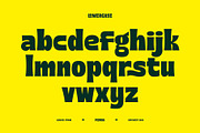 PLONQA - Bold Display Font, a Sans Serif Font by Aksapix Studio (Thumbnail 3 of 8)