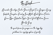 the flash, a Script Font by NJ Studio (Thumbnail 9 of 12)
