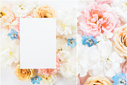 Instagram Styled Stock Square Photos, a Social Media Template by LaPorte Images (Thumbnail 9 of 19)
