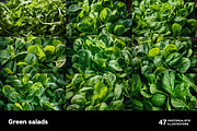 Green Salads. 47 images, a Food & Drink Photo by Handmadefont (Thumbnail 6 of 12)