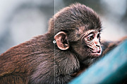 HDR Reactor Panel 2.0, a Plug-in Add-On by Pro Add-Ons (Thumbnail 31 of 41)