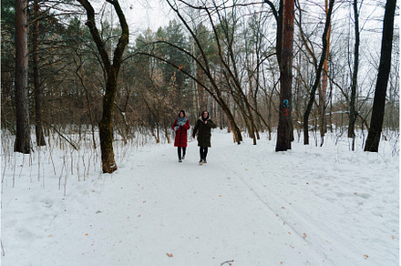 Two people walking in a snowy forest