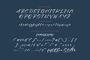 Magnotus Bractea Beautiful Script, a Script Font by Letterena Studios Script (Thumbnail 13 of 15)