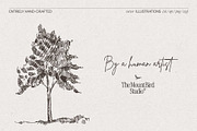 Hand-Drawn Trees Illustration Set, an Object Graphic by TheMountBirdStudio (Thumbnail 3 of 6)