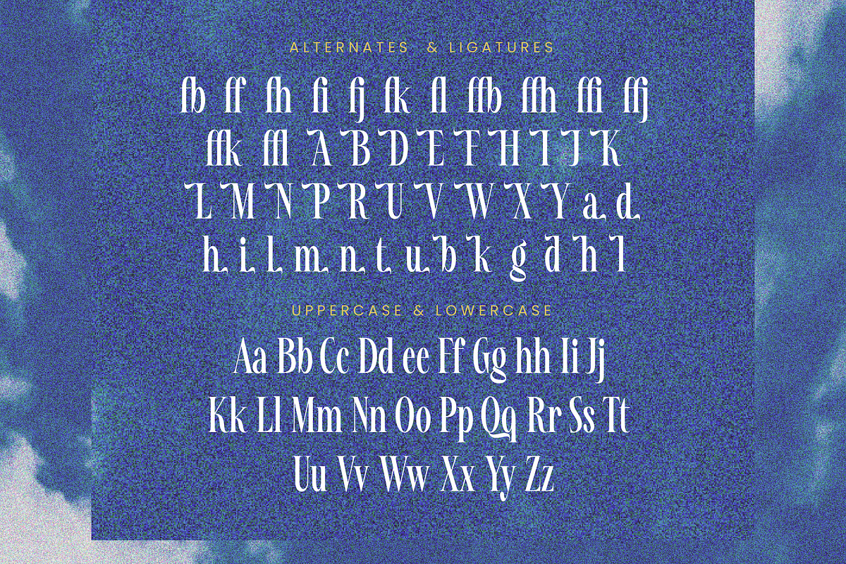 Awesome Shorten Tall Serif Display, a Serif Font by timelesstype.co (Photo 19 of 20)