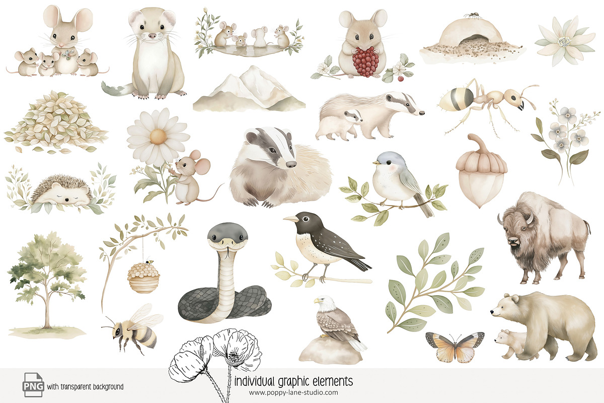 85 forest animal clip art, an Animal Illustration by Poppy Lane Studio (Photo 7 of 10)