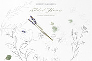 pressed floral watercolor collection, an Illustration by beehouse studio (Thumbnail 4 of 9)
