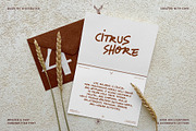 Citrus Shore - Playful Marker Font, a Handwritten Font by SilverStag Type Foundry (Thumbnail 2 of 15)