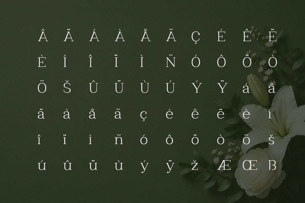 Clayton – Elegant Serif Typeface, a Serif Font by Webhance Studio (Photo 7 of 10)