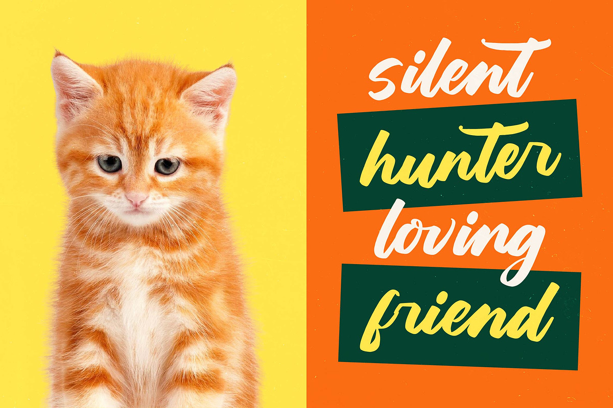 Hunting Gather Bold Handwritten Font, a Script Font by Letterena Studios Script (Photo 12 of 20)