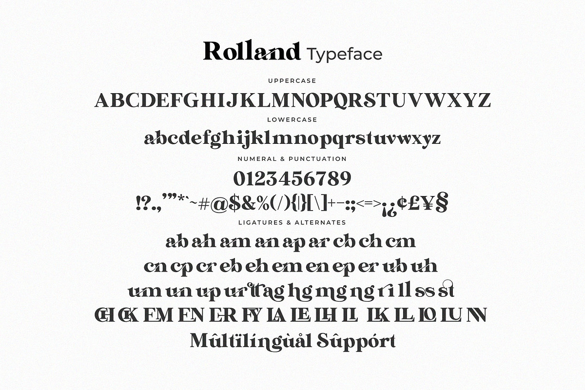 Rolland Ligature Serif Font Typeface, a Serif Font by Graphicxell (Photo 7 of 10)