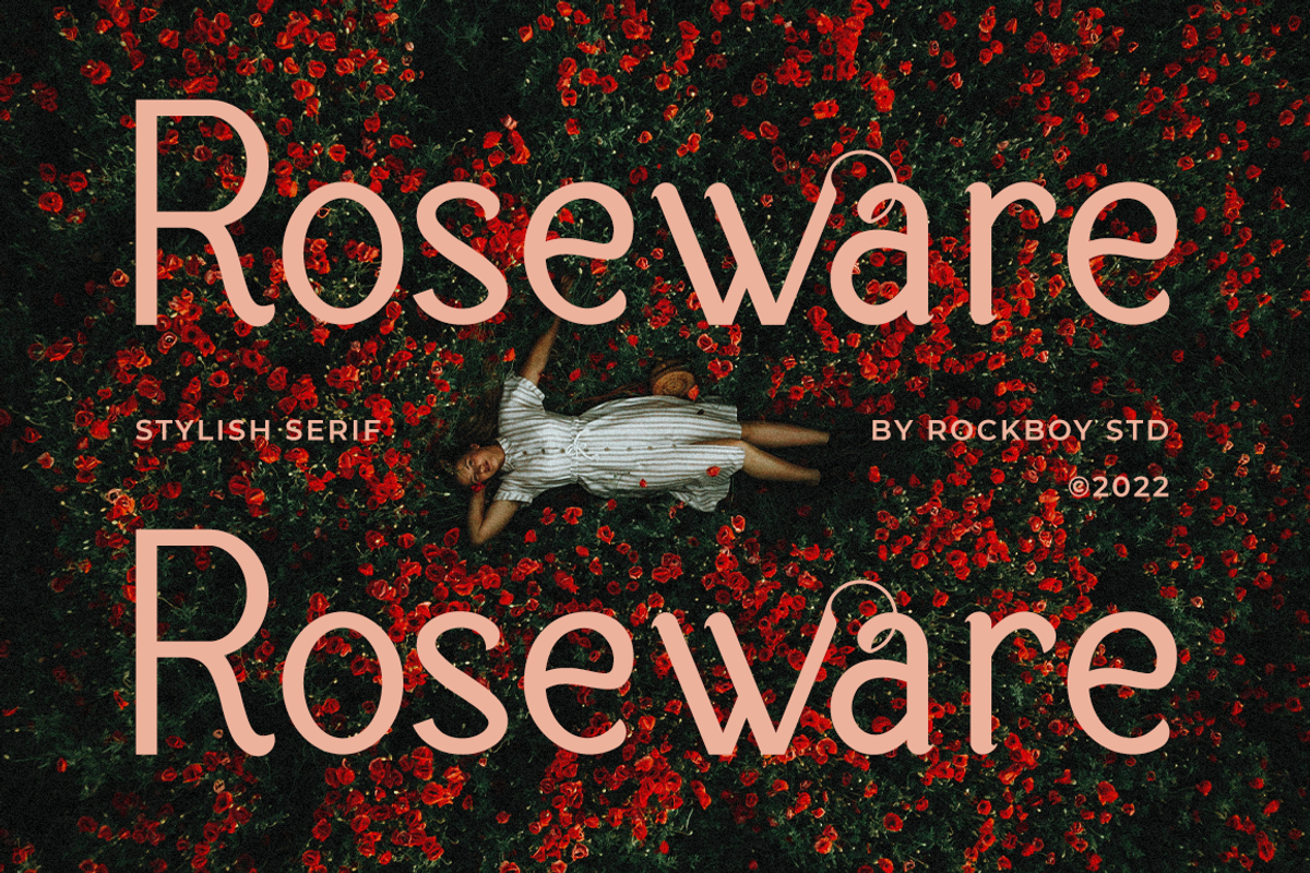 Roseware - Modern Stylish, a Serif Font by RockboyStd (Photo 1 of 12)
