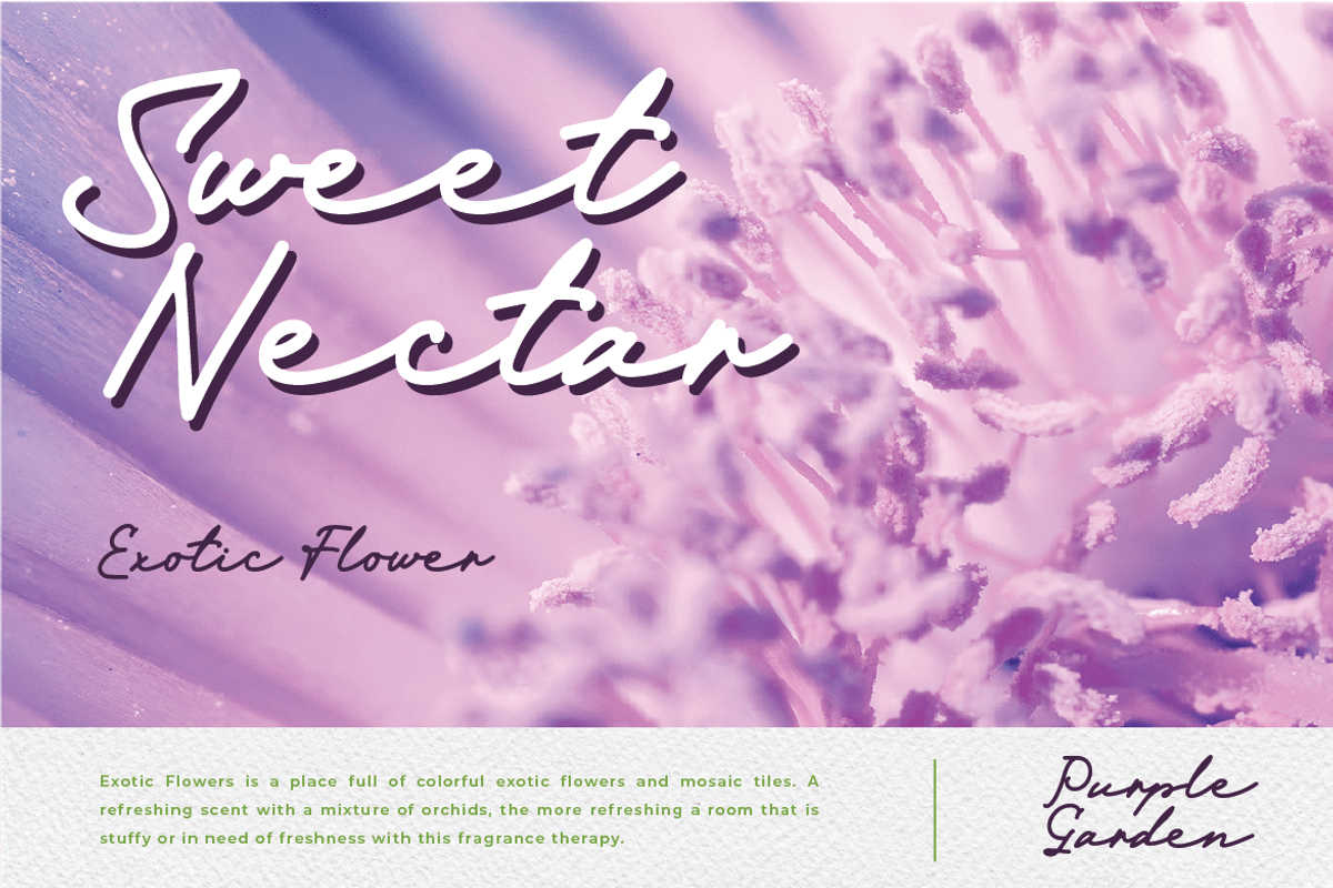 Almefia, a Script Font by kerismaker (Photo 7 of 12)