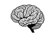 Brain Tree Knowledge Design Bundle, an Illustration by Gaye Art (Thumbnail 8 of 31)