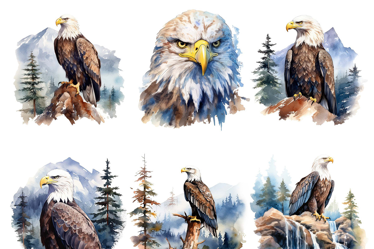 Watercolor Bald Eagle Clipart Bundle, an Animal Illustration by Design ...