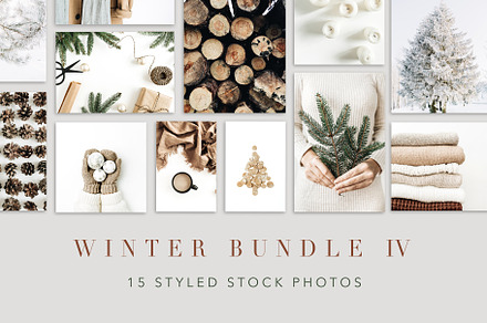 Winter Bundle 4, a Holiday Photo by Floral Deco