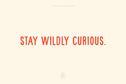Curious P: A Hand-Drawn Font, a Handwritten Font by Pace Creative Design (Thumbnail 5 of 12)
